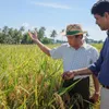 Southeast Asia rice potential discussed