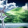 Russians to present Swan Lake in 3D format in Hanoi