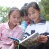 Free library for children in remote areas