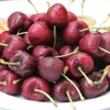 Enjoy the unique taste of cherries at Canadian Cherry Festival in Vietnam