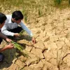 Vietnam actively copes with consequences of El Nino