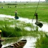 Impact of climate change on Mekong Delta discussed