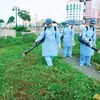 Central Vietnam in dengue fever hot seat