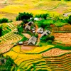 Vietnam seeks ways to promote tourism