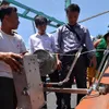 Binh Dinh receives tuna fishing equipment from Japan