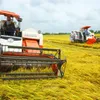 Agriculture sector increases efficiency