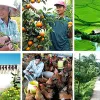 Vietnam and Japan bolster agriculture co-operation