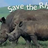 Young people help save the rhino