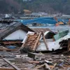 How the 2011 Japanese Tsunami Changed the Face of Science