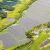 Korean firm to invest in solar power plant in Vietnam