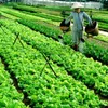 Agriculture sector to improve product safety