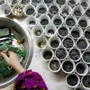 Vietnam steps up electronic waste recycling