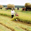 Agriculture sector reviewed after 9 months