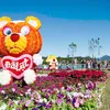 Da Lat Flower Festival to bloom