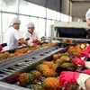 Fruit and veggie exports taking root in new markets