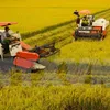 Mekong Delta to improve agricultural sector