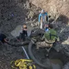 Farmers stumble across mammoth skeleton in their soybean field