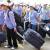 Vietnamese workers in Thailand get work permits