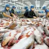 More Vietnamese catfish producers licensed to export into US