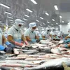 Catfish exports now face tougher US inspections