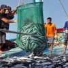 Quang Ngai fishermen go out to sea with New Year spirit