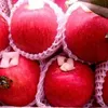 Japanese apples re-enter Vietnamese market