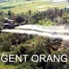 Agent Orange/Dioxin catastrophe day marked