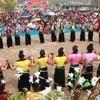 Ban Flower Festival 2017 opens in March next year