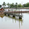 Ca Mau looks at ways to support local fishery