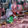 HCM City hopes technology can clean up dirty pork industry