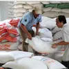 Vietnam suspends rice exports to US after pesticide violations