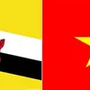 Vietnam - Brunei Joint Statement