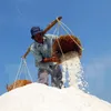 Deputy PM urges salt purchases to help farmers