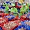 Tra fish exports expected to drop 5% this year