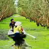 U Minh Thuong National Park biodiversity recognised