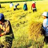 FTAs expose agri sector to cold winds of change