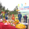 Cau Bong Festival kicks off in Quang Nam Province