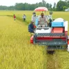 Agricultural firms need to make greater integration efforts