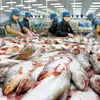 Vietnam Pangasius Association consider suing the US