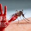 Zika virus under control in Phu Yen province