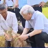 Party chief calls on efforts to tackle drought and salinization in Ben Tre