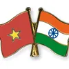 Cultural cooperation drives Vietnam-India ties