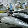 Tuna needs dolphin safety certification