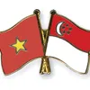 Vietnam, Singapore agree on measures for stronger ties