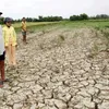 Mekong Delta forum discusses climate change response
