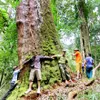 Developing discovery tourism to protect Po Mu heritage forest in Quang Nam