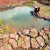 Central Highlands face severe water shortage