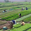 Agricultural exports shows positive signs in 2016