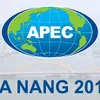 Vietnam focuses on hosting APEC year 2017