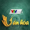 VTV Cab launches culture channel